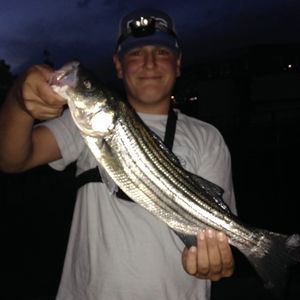 Meet your Posher, Nicholas